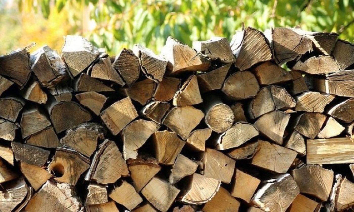 Какие документы нужны гражданам для заготовки дров?