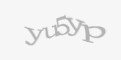 Ахоўны код
