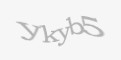 Ахоўны код