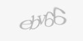 Ахоўны код