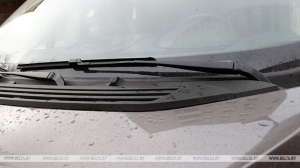 Житель Минской области пытался угнать машину "как в кино"