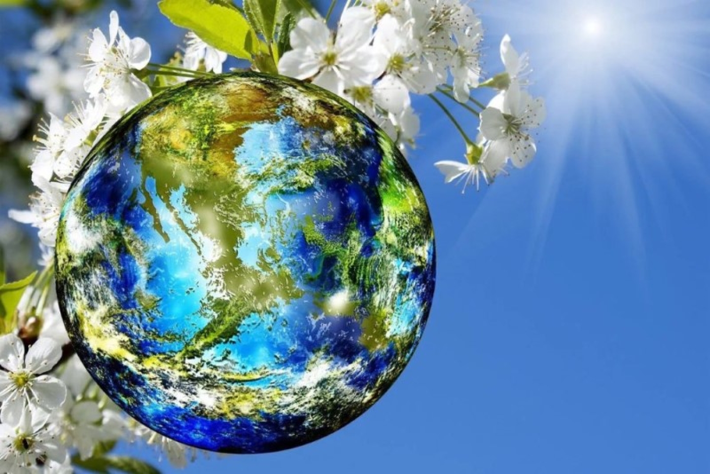 22 апреля – Международный день земли. Что это за праздник?