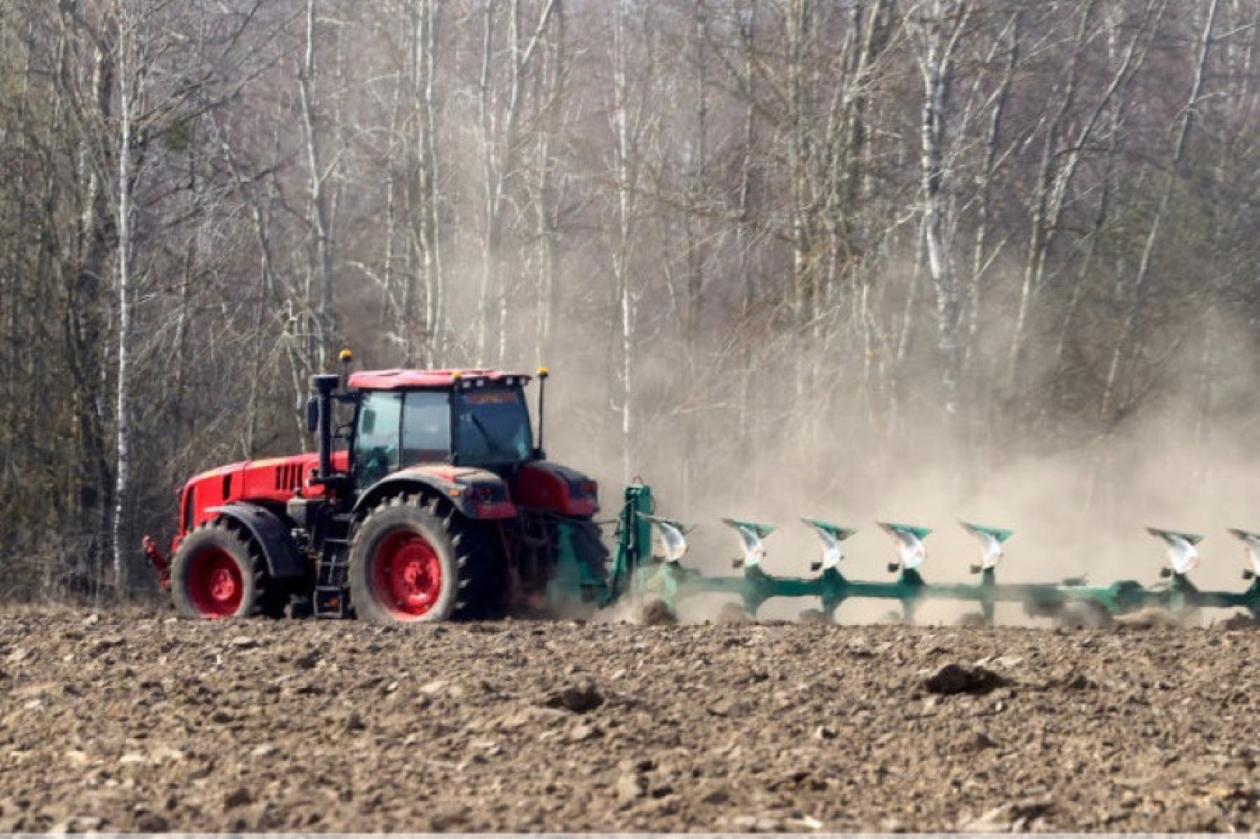 Минская область полностью обеспечена семенами и удобрениями для успешного весеннего сева