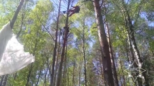 Спасатели помогли застрявшей на дереве парашютистке в Малоритском районе