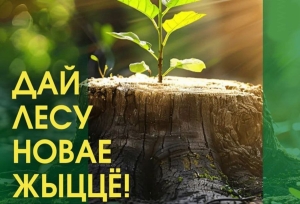 Акция «Дай лесу новае жыццё!» на Березинщине!
