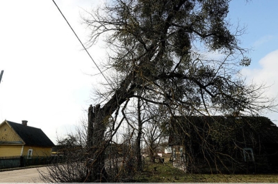 Больше половины проданных пустующих домов в Беларуси реализованы за одну базовую величину