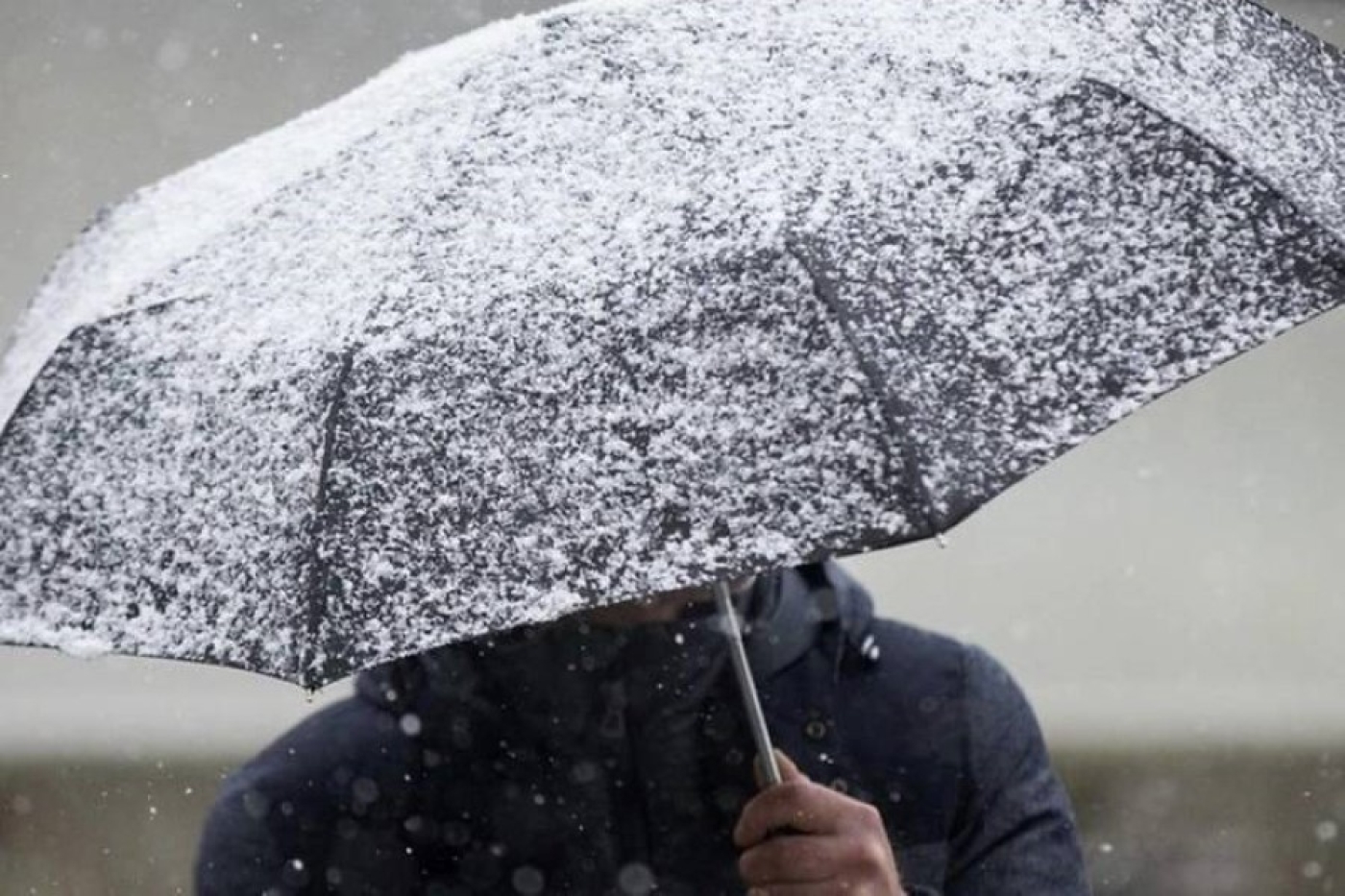 Погода в Беларуси 25 ноября: мокрый снег, переходящий в дождь, туман, гололед и от –6 °С до +5 °С