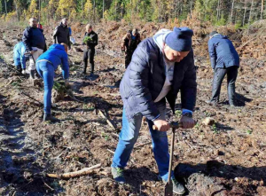 В Березинском лесхозе подвели итоги акции "Аднавім лясы разам".