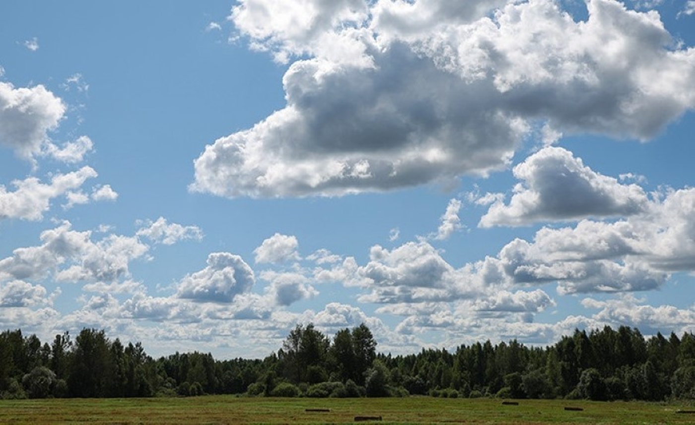 Жаркая с грозами погода ожидается в Беларуси 3 сентября