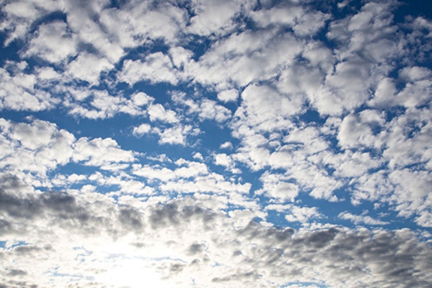 Где в Беларуси дышится легче всего? Белгидромет подвел итоги мониторинга качества воздуха в 2025 году