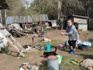 Мусор – не мусор. И коты «греют душу»