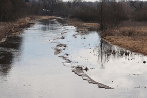 Какие регионы Беларуси уже затронуло весеннее половодье, рассказали гидрологи