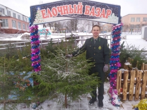 Полным ходом идёт продажа новогодних ёлок на городской площади.