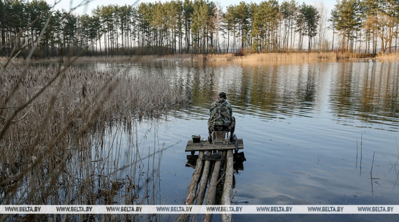 Госинспекция: с каждым годом количество нарушений правил рыболовства уменьшается
