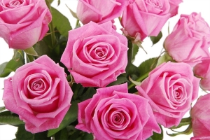 С праздником Вас, София Петровна! С юбилеем!