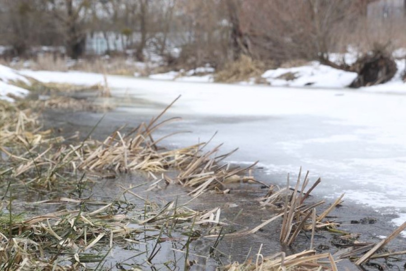 Что делают коммунальные службы для минимизации риска подтоплений талыми водами, рассказали в МЖКХ