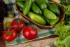 Август не приговор: подкормки для томатов и огурцов, которые продлят плодоношение