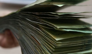 В Минской области иностранец создал финансовую пирамиду и обманул 11 человек на Br845 тыс.