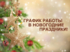 ГРАФИК РАБОТЫ БЕРЕЗИНСКОЙ ЦРБ в выходные и праздничные дни в декабре 2022/январе 2023‼️