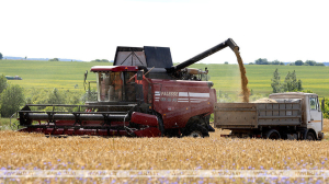 Лукашенко требует не пенять на погоду, а усердно трудиться в полях