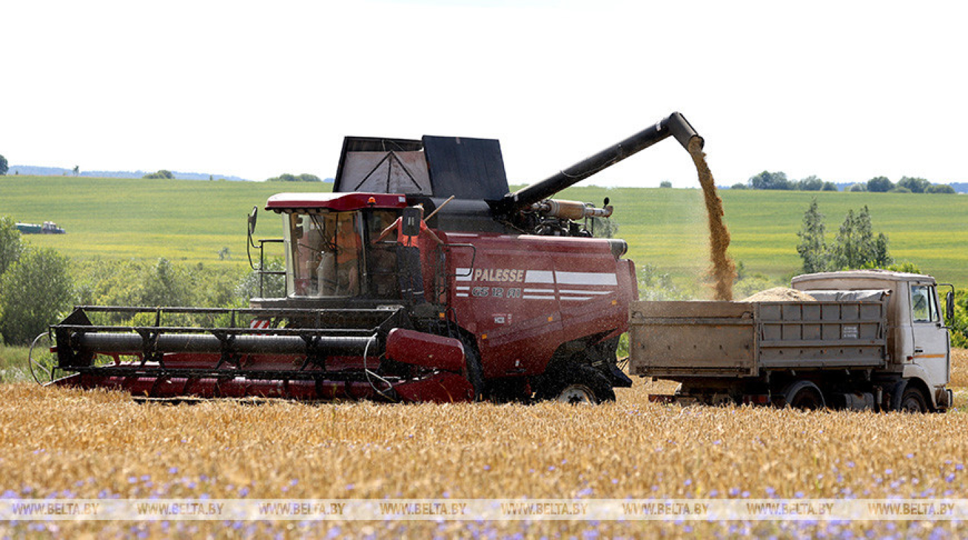 Лукашенко требует не пенять на погоду, а усердно трудиться в полях