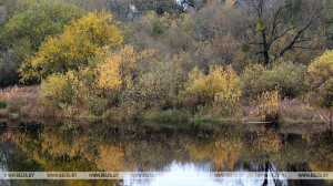 В Минском районе в водоеме утонула пенсионерка