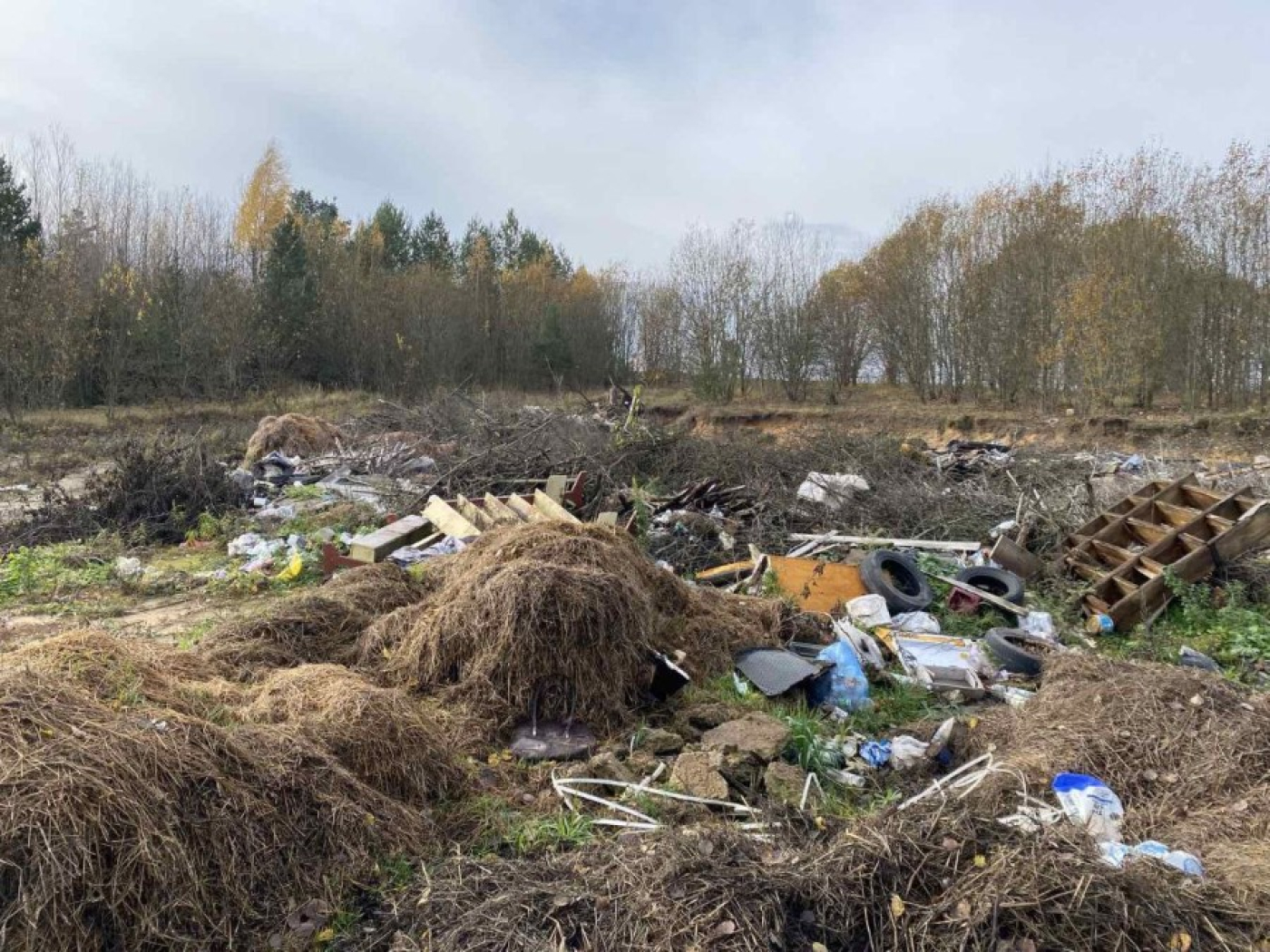 «Хата с краю». Почему мусорят одни, а убирают другие?