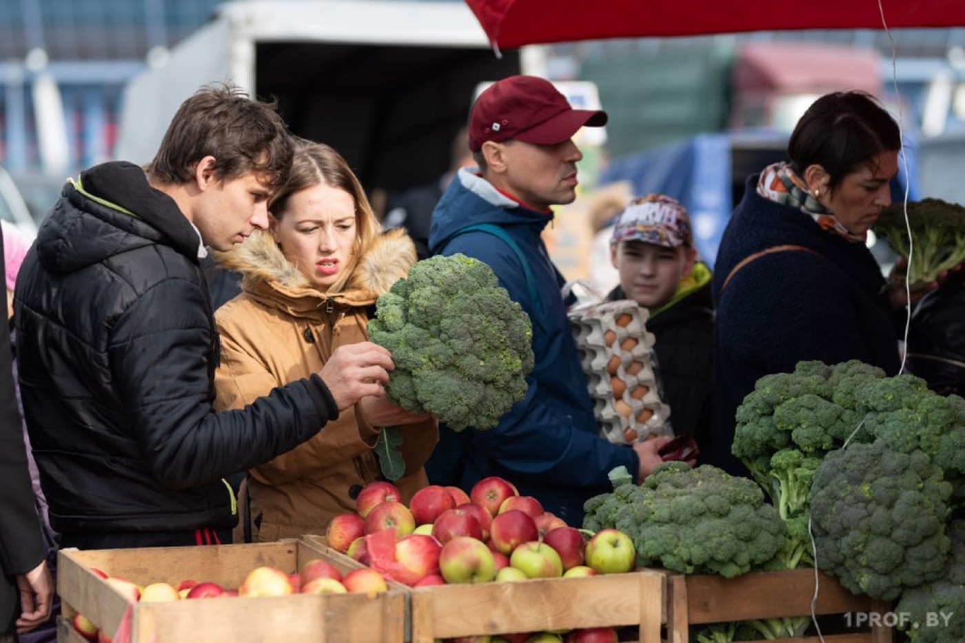 Ярмарки по продаже сезонной продукции в Минской области пройдут с 14 сентября по 2 ноября