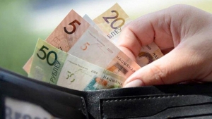 Профессиональное пенсионное страхование или ежемесячная доплата к заработной плате и дополнительная накопительная пенсия