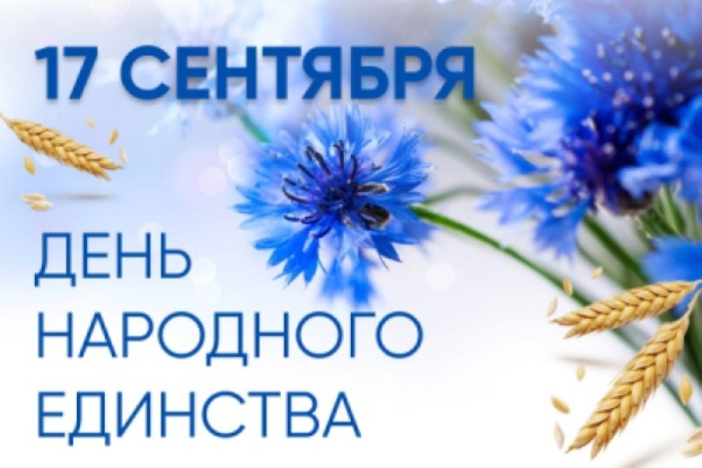 Дорогие земляки! Сердечно поздравляю вас с Днём народного единства!