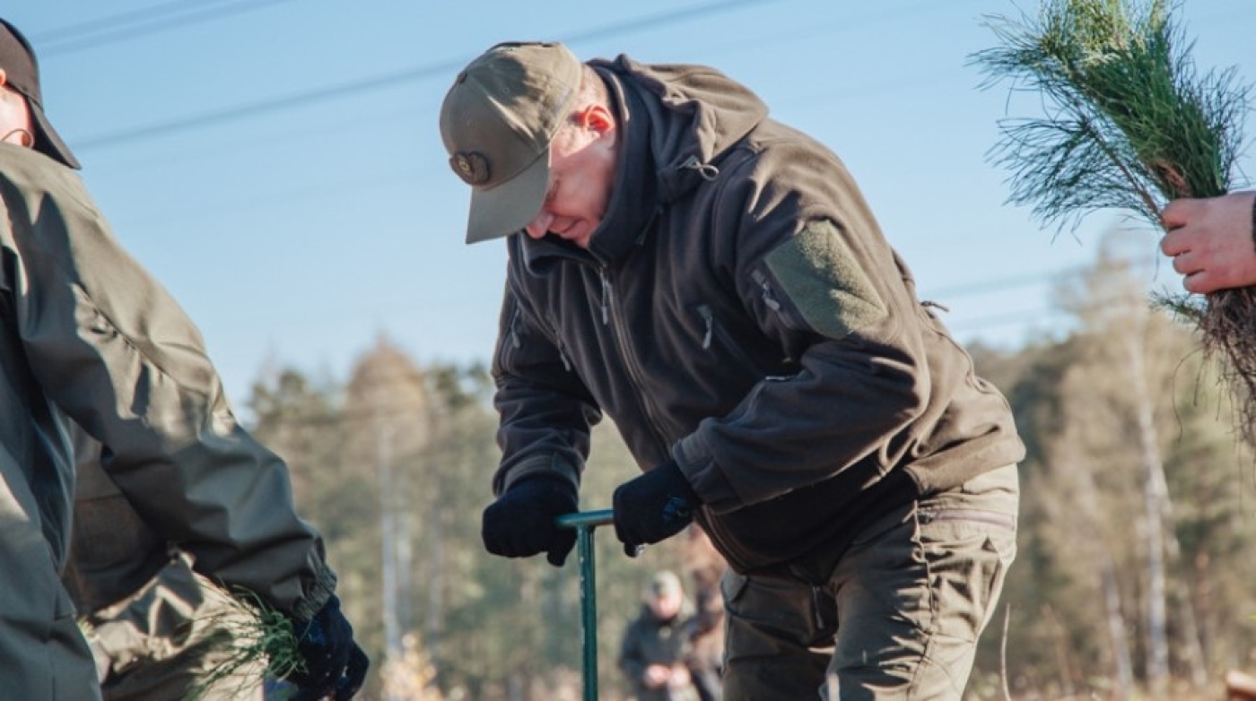 Спасатели высадили около 1,1 млн саженцев за время акции "Дай лесу новае жыццё!"