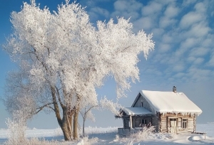 Народный календарь на 31 января 2025: что можно и нельзя делать, приметы и праздники