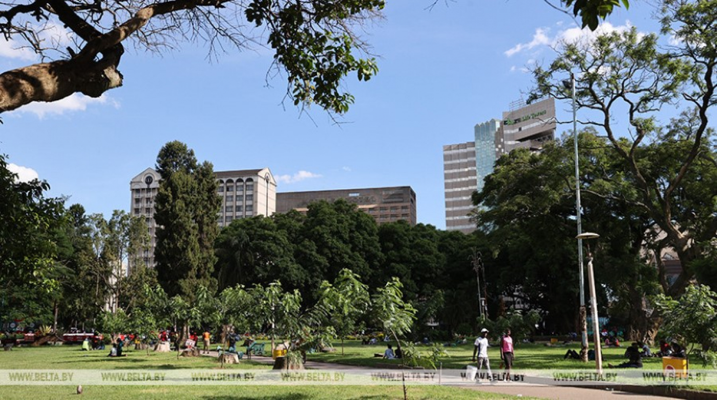 Лукашенко: Африка давно проснулась, без нее мир развиваться не может