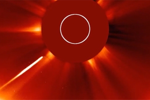 Солнце поглотило самую яркую комету года, сообщили ученые