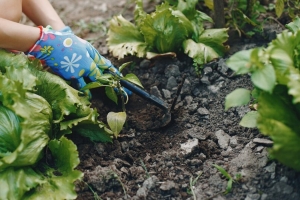 Как защитить кожу рук во время дачного сезона? Отвечает врач