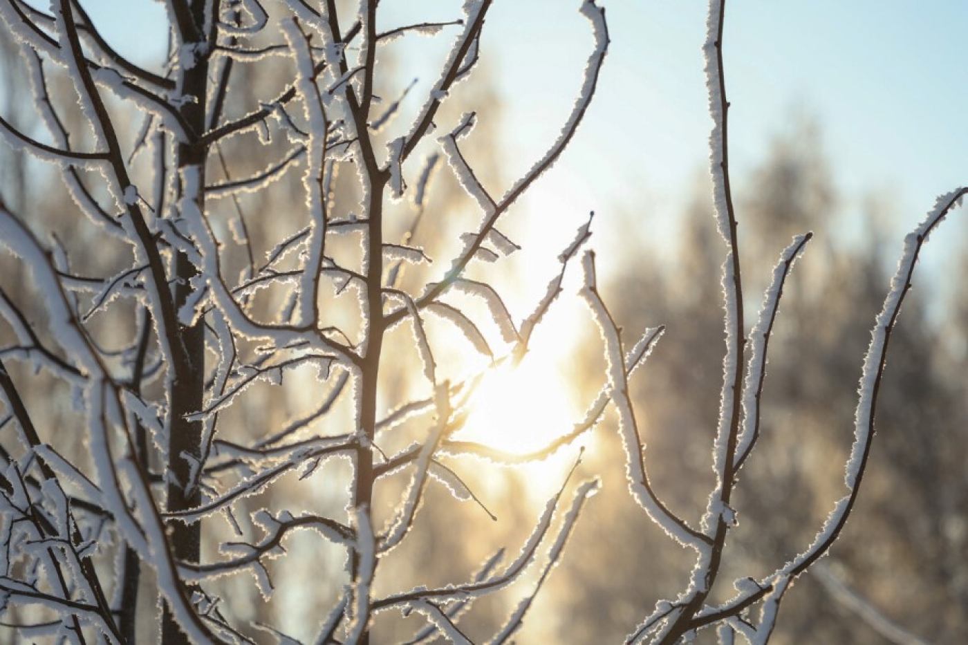 Зима еще себя покажет. Рябов рассказал о погоде в Беларуси с 16 по 22 февраля