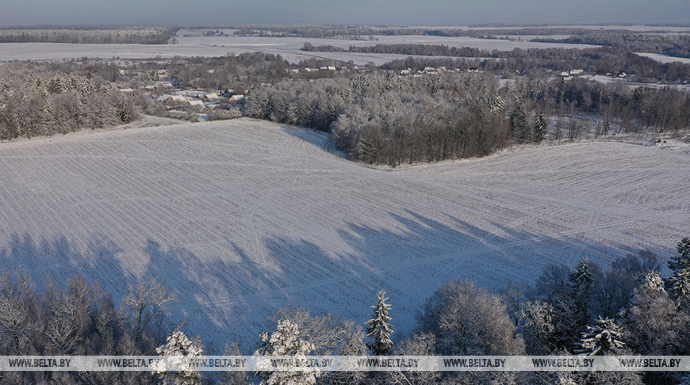 Минсельхозпрод: за последние три года объем внесения азотных и фосфорных удобрений увеличился на 22%