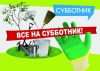 Все на субботник!