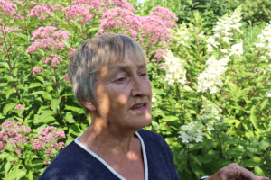 Астильба, дейция, спирея…