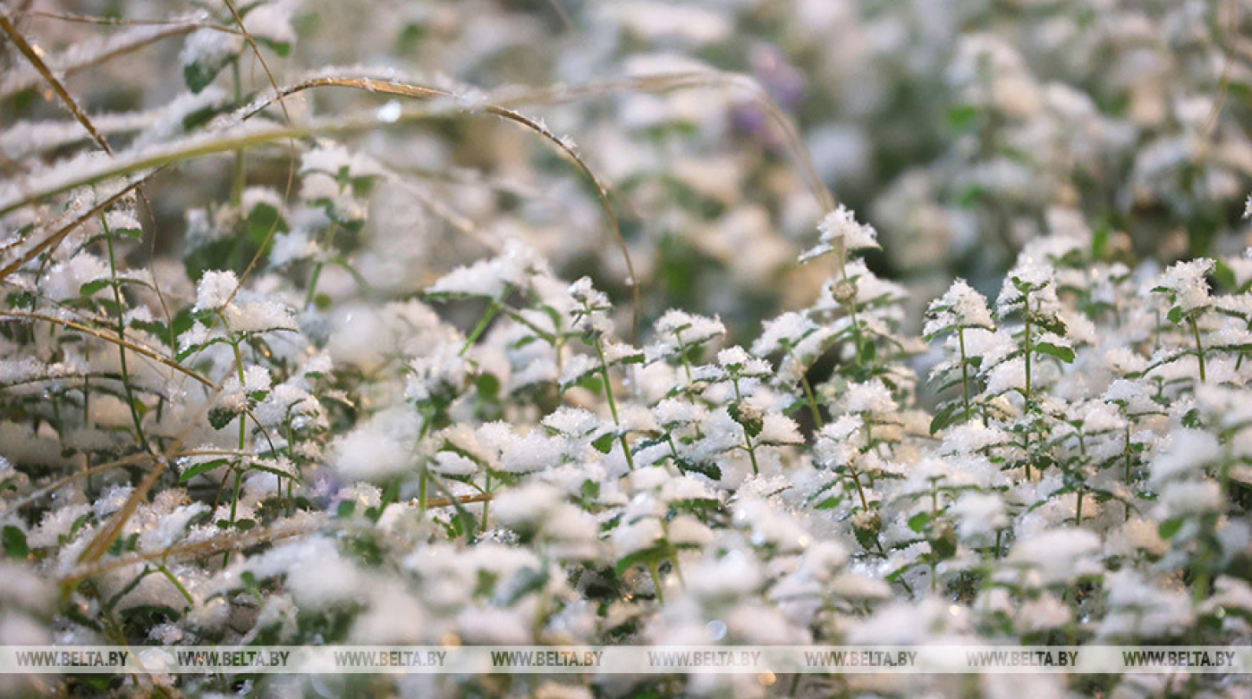 Оранжевый уровень опасности из-за снегопада объявили в Беларуси на 19 ноября