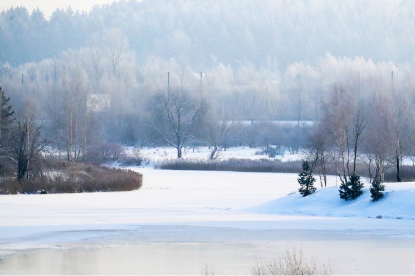 В Минской области просят сообщать о признаках заморов рыбы на водоемах