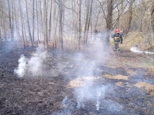 Не накликайте беду, выжигая траву…