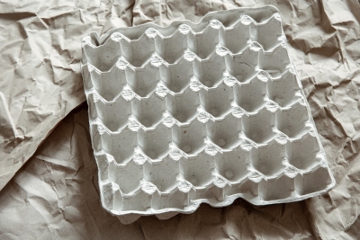 Одна ночь - и грядки чистые: ловушка для слизней из яичных лотков