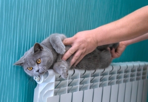 Завершение отопительного периода