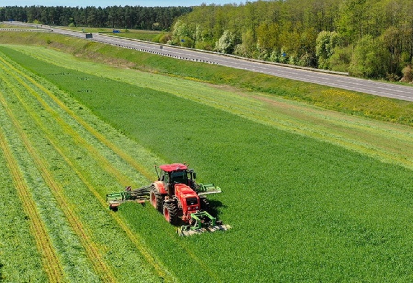 Аграрии Беларуси заготовили более 46% сенажа