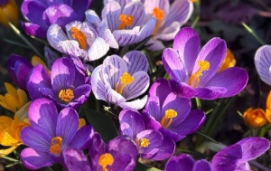 Синоптики прогнозируют не по сезону теплую погоду в Беларуси на этой неделе