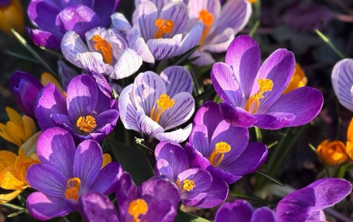 Синоптики прогнозируют не по сезону теплую погоду в Беларуси на этой неделе