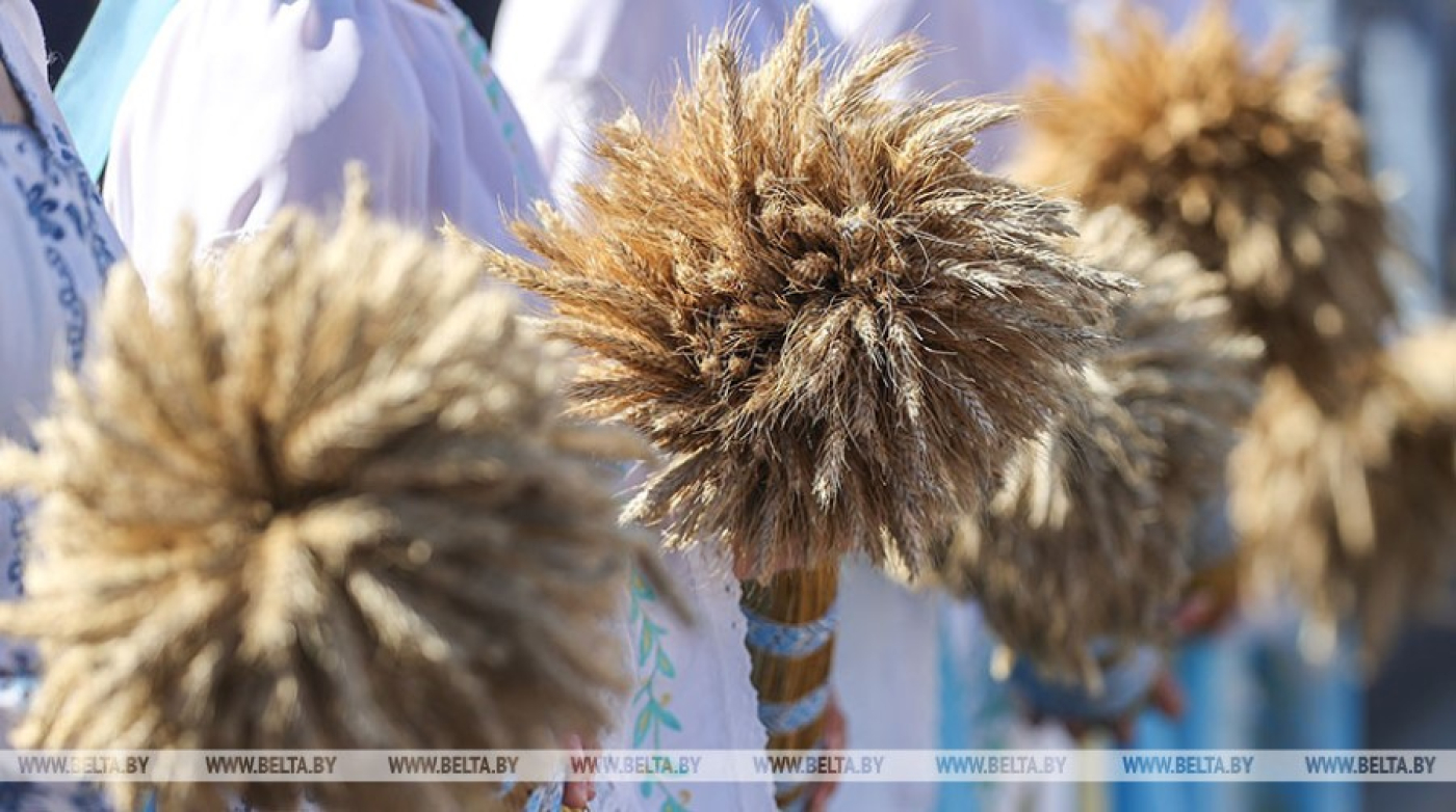 Александр Лукашенко поздравил участников и гостей областного фестиваля-ярмарки "Дажынкі-2023" в Солигорске