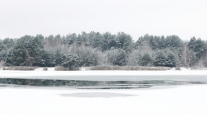 В Беларуси жертвами тонкого льда в январе уже стали 5 человек