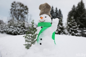 Погода в Беларуси 2 января: метель и снежные заносы, гололедица и до +1 °С